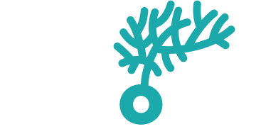 Teal coral logo above "Dysolve" text, white background, digital illustration.